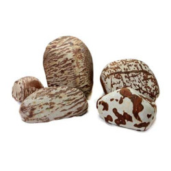 Swan Rock 1-2kg SCALARE