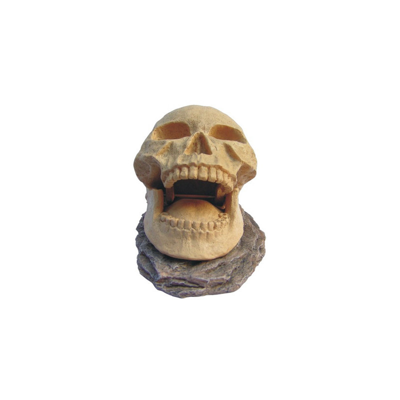 SKULL OPENING  155x100x95mm---