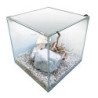 NEWA EGO LID 30 BLANC avec LED 2.34w 28L