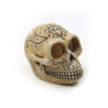 Cr√¢ne 7.3x5.5x5.5cm SCALARE