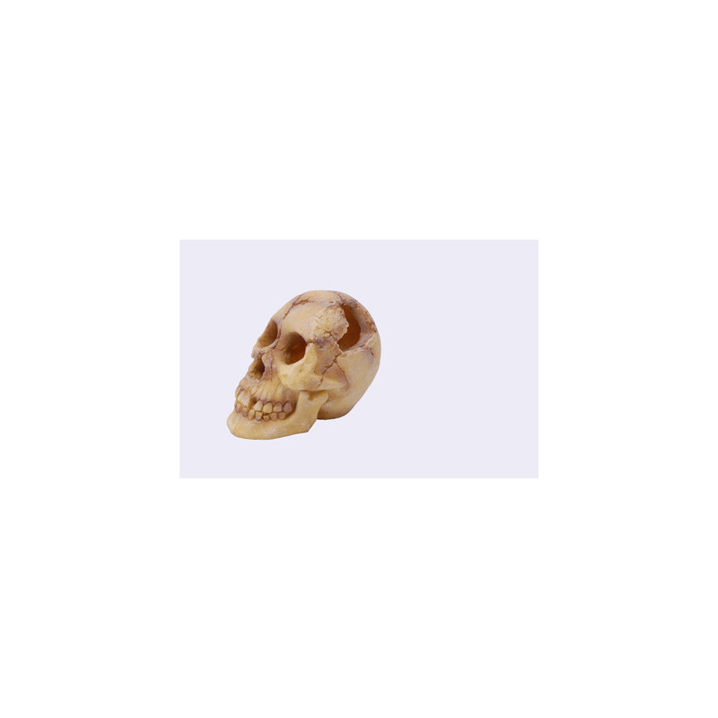 SKULL   180x135x145mm---