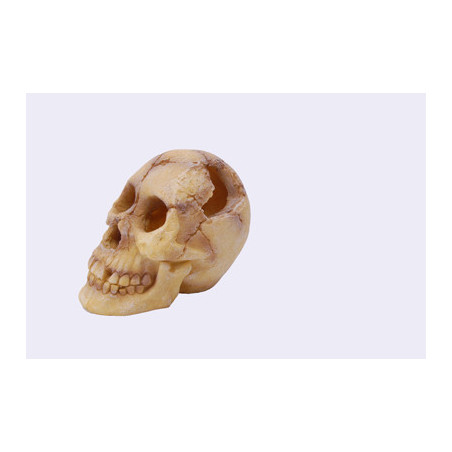 SKULL   180x135x145mm---