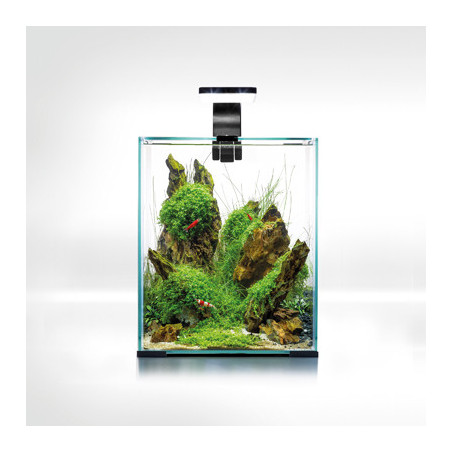 AQUARIUM SHRIMPSET SMART D&N  20 NOIR 19L