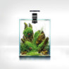 AQUARIUM SHRIMPSET SMART D&N  20 NOIR 19L