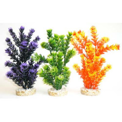 FIESTA AQUAPLANT H:24cm SCALARE
