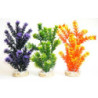 FIESTA AQUAPLANT H:24cm SCALARE