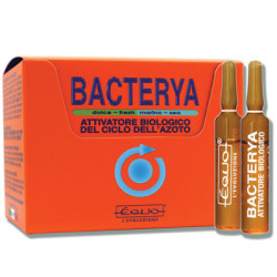 BACTERYA 5ml 12 ampoules EQUO