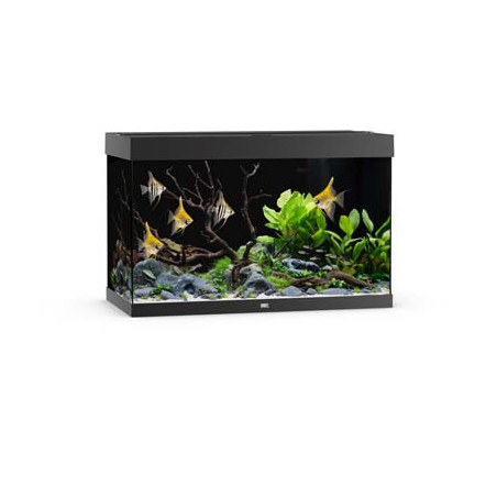 Aquarium RIO 290 LED (2x led 895mm) NOIR JUWEL