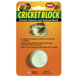 CRICKET BLOCK