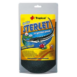 STERLET 650grs TROPICAL---