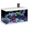 *AQUASTAR 63 MARIN BLANC 2x12w 63L (sur commande)