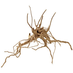 RACINE FINGERWOOD S 20-30cm HOBBY
