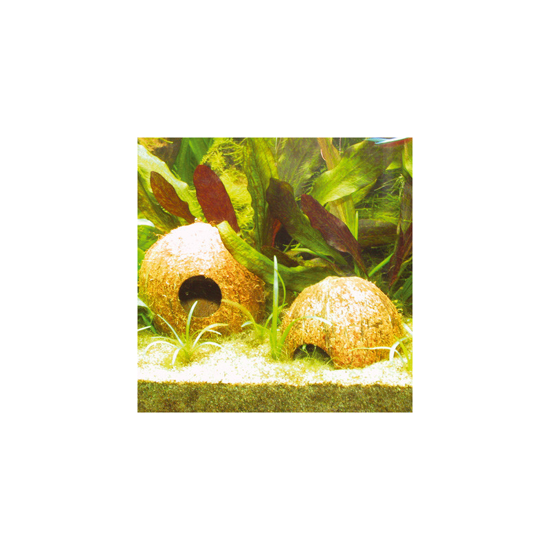COCOS CAVA 1/2L JBL