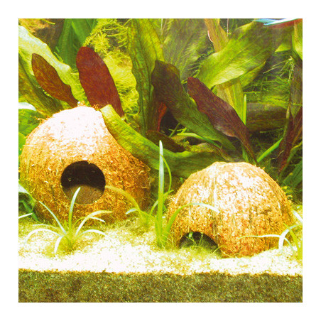 COCOS CAVA 1/2L JBL