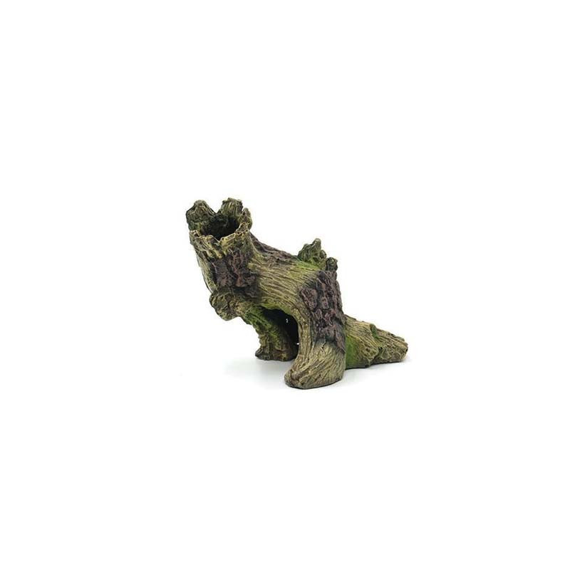 Souche 13.8x10x10cm SCALARE