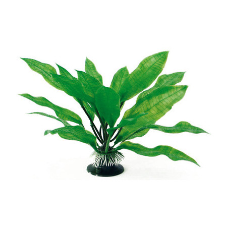 PLANTE ECHINODORUS 18cm