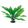 PLANTE ECHINODORUS 18cm