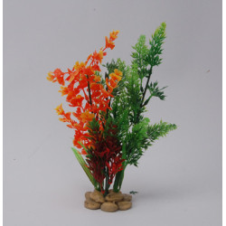 PLANT H:26cm SCALARE---