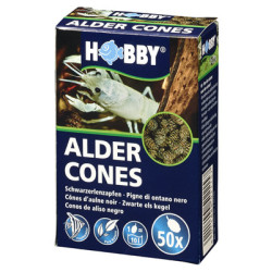 *ALDER CONES 50pc HOBBY (sur commande)