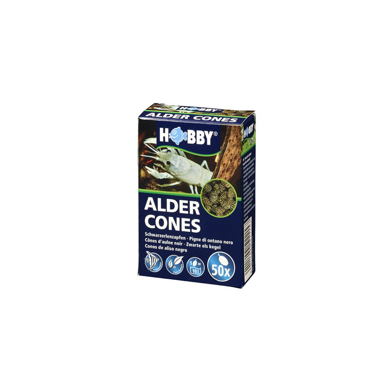 *ALDER CONES 50pc HOBBY (sur commande)