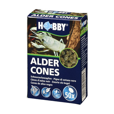 *ALDER CONES 50pc HOBBY (sur commande)