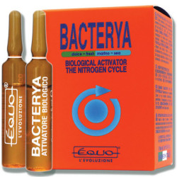BACTERYA 5ml 6 ampoules EQUO