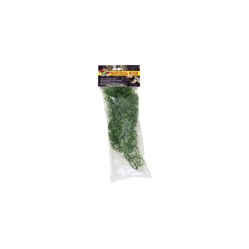 PLANTE CANABIS     MM - ZM