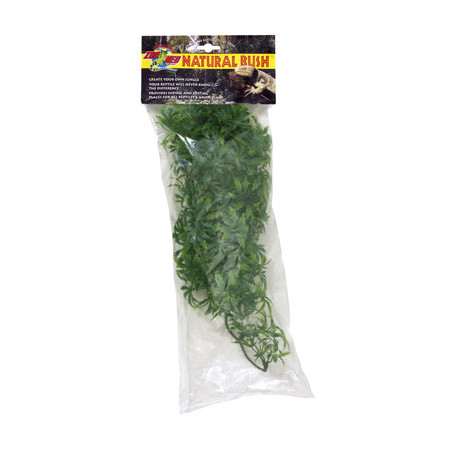 PLANTE CANABIS     MM - ZM