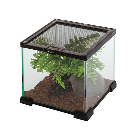 TERRARIUM 21x21x20cm REPTIZOO