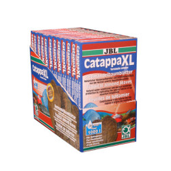 CATAPPA XL feuille de badamier