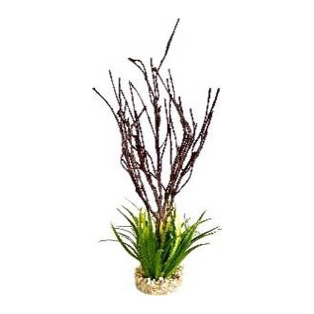 TERRA BRANCHES PLANTE 39cm SCALARE