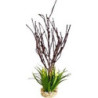 TERRA BRANCHES PLANTE 39cm SCALARE