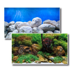 *PST 0,45x15m DF ADVENTURE (sur commande)