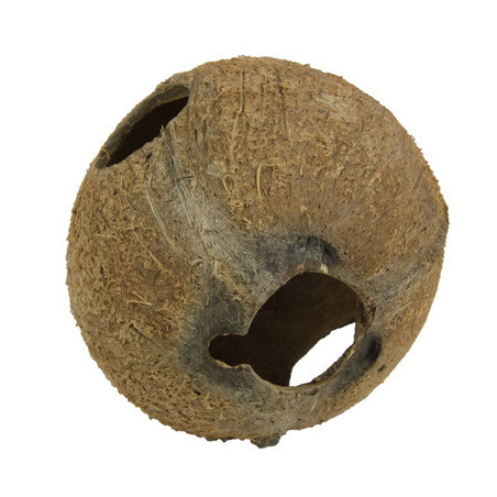 COCOS CAVA 1/1L JBL