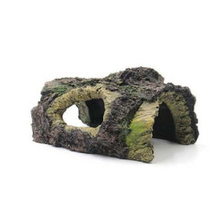Souche 14.5x9x6.7cm SCALARE