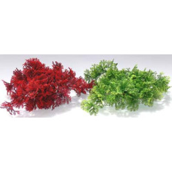 TROPICAL MOSS H:8cm SCALARE