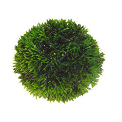 *PLANT BALL 9 cm HOBBY (sur commande)