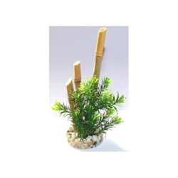 BAMBOO FOREST PLANTS H:20cm SCALARE