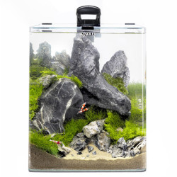 *AQUARIUM OPTIBENT SET 30 NOIR D&N 29L (sur commande)
