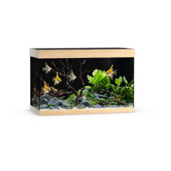 Aquarium RIO 290 LED (2x led 895mm) CHENE CLAIR JUWEL