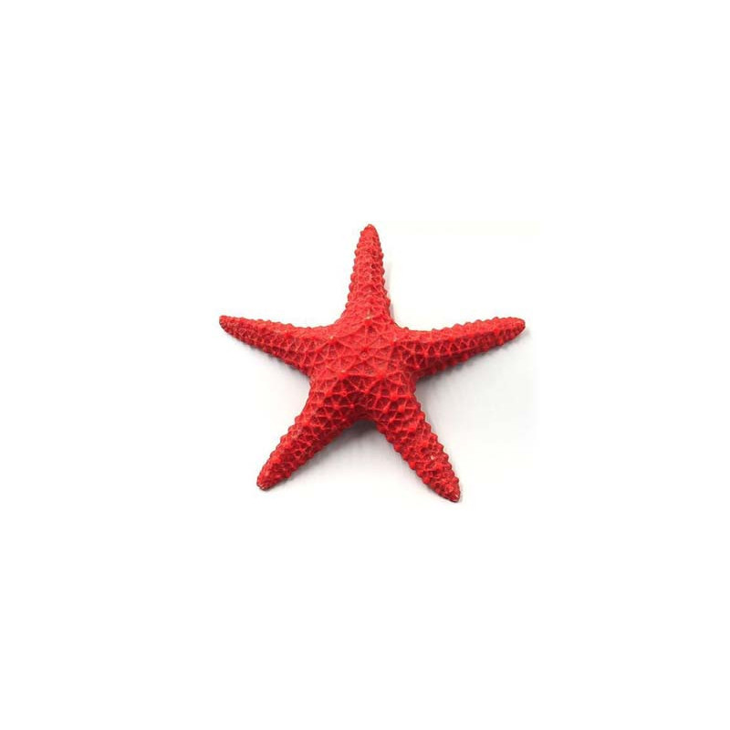 √âtoile de mer 15x15x3cm SCALARE