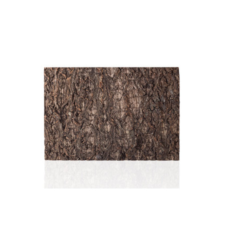NATURAL CORK TILE BACKGROUND 60x45cm REPTIZOO