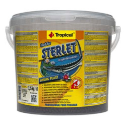 STERLET 5L TROPICAL---
