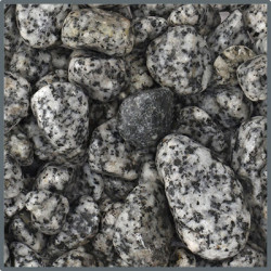 Ground nature Dalmatiner Stone 5 kg