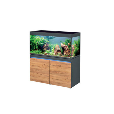 INCPIRIA 430 combi GRAPHIT/NATURE 2 x power LED+