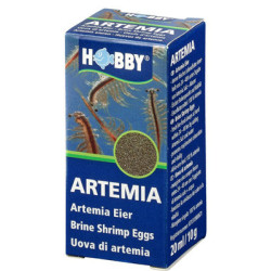OEUFS d'ARTEMIA HOBBY 20ml