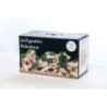 Deco Set Multi Holestone pour aquarium 80L
