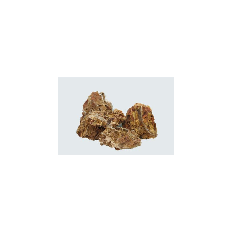 Maple Stone 1-2kg SCALARE