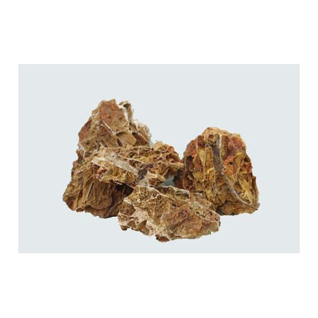 Maple Stone 1-2kg SCALARE