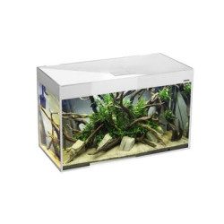 *AQUARIUM GLOSSY 100 BLANC led D&N 2x14w 100x40x63cm 215L(sur cde)